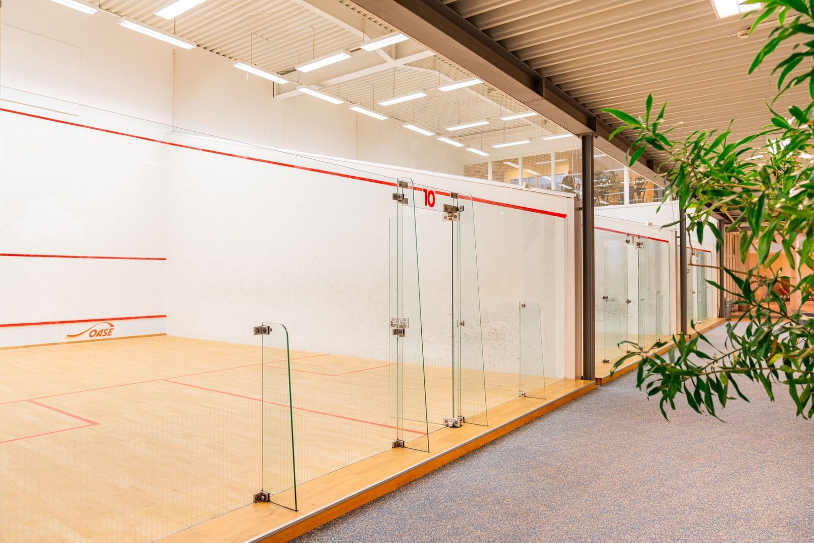 The photo shows a row of three squash courts of the Fit-Well in Bochum, Germany