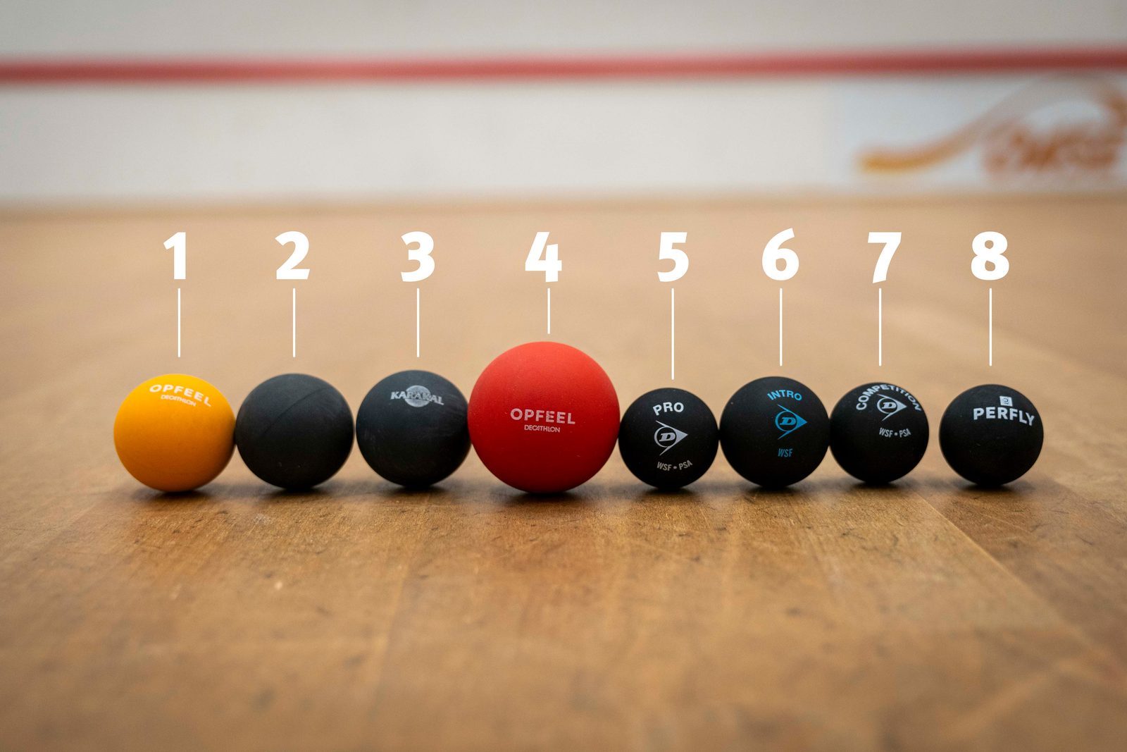 Best Practice of the Month, Part 1: Choosing the Right Squash Ball for Beginners