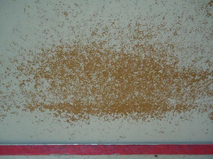 squash wall showing intensife surface abrasion